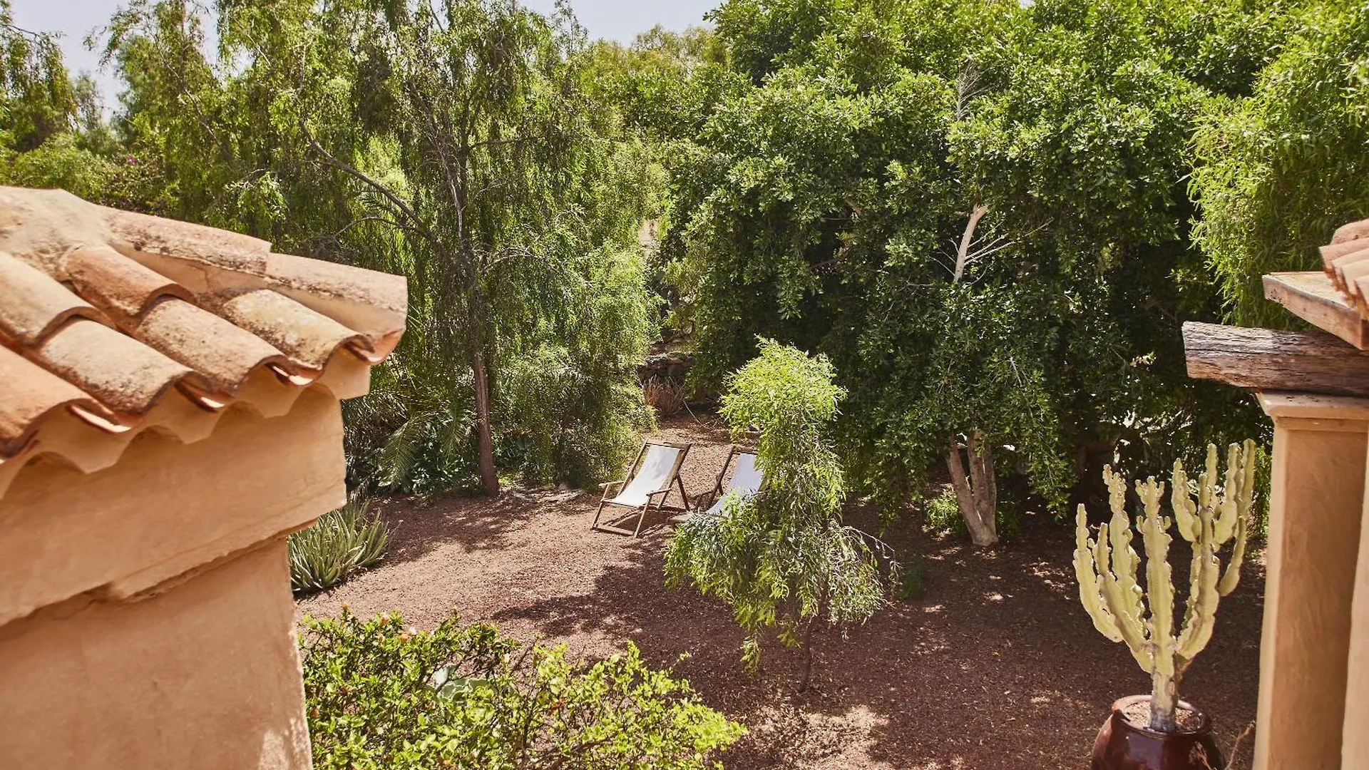 Oasis San Martin El Cotillo playa del Águila Tatil Evi