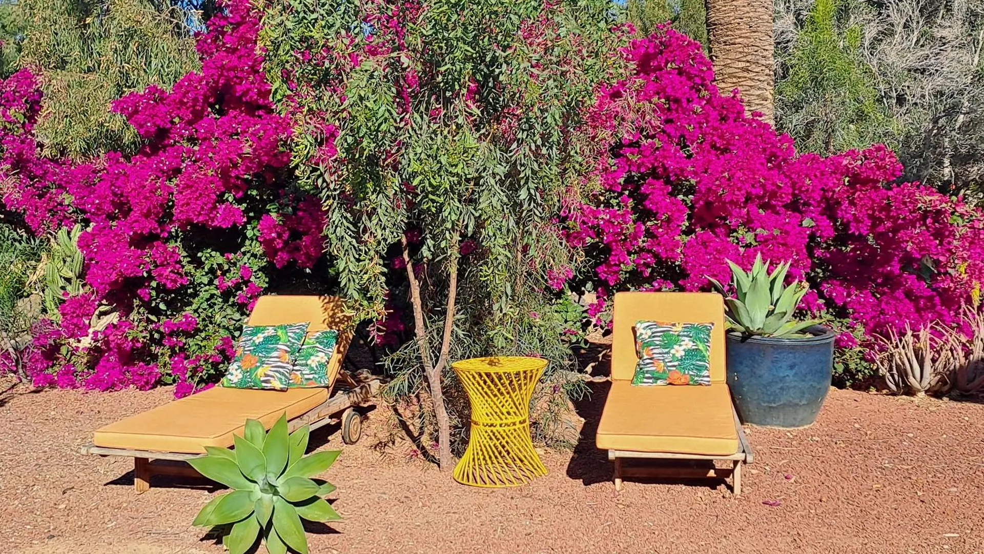 Tatil Evi Oasis San Martin El Cotillo playa del Águila İspanya